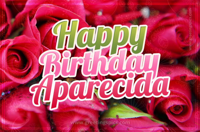 Happy Birthday Aparecida beautiful Image with red roses