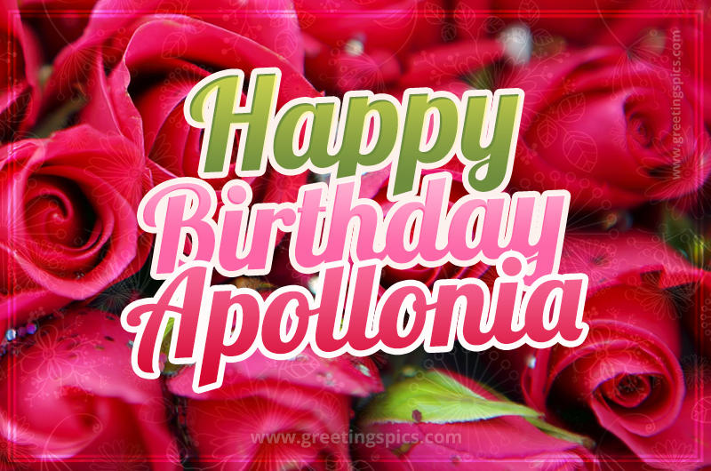 Happy Birthday Apollonia beautiful Image with red roses