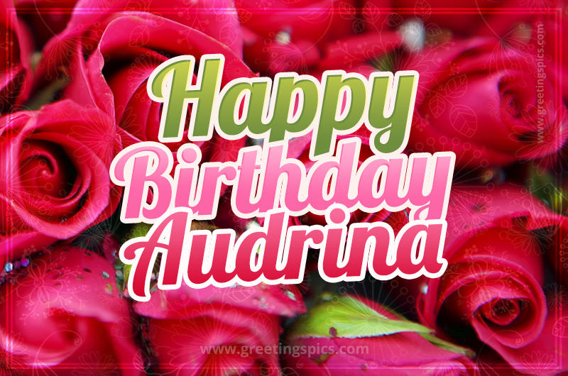 Happy Birthday Audrina beautiful Image with red roses