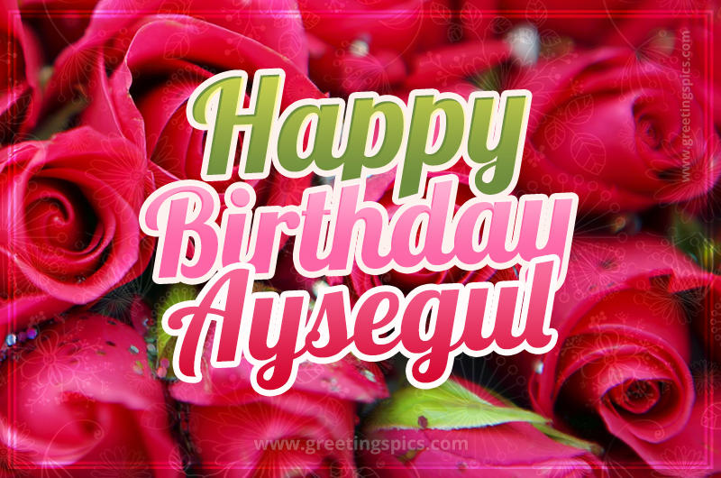 Happy Birthday Aysegul beautiful Image with red roses