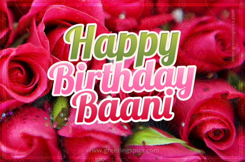 Happy Birthday Baani beautiful Image with red roses