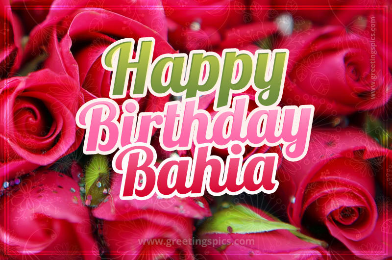 Happy Birthday Bahia beautiful Image with red roses