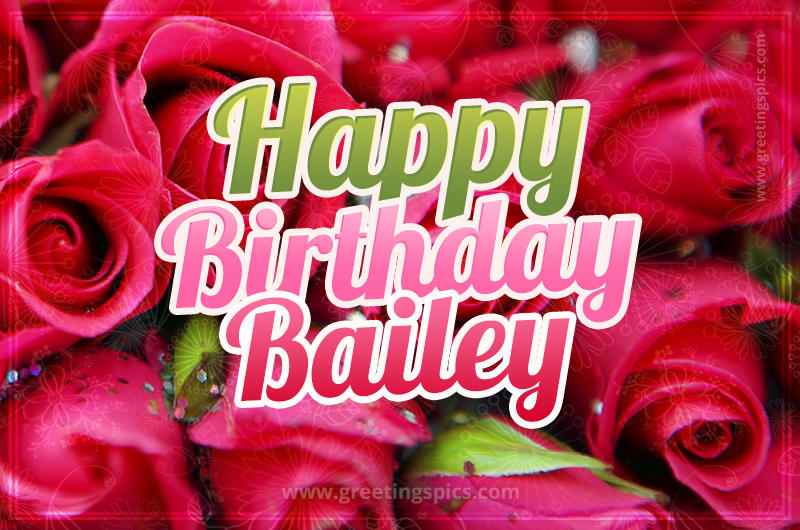 Happy Birthday Bailey beautiful Image with red roses