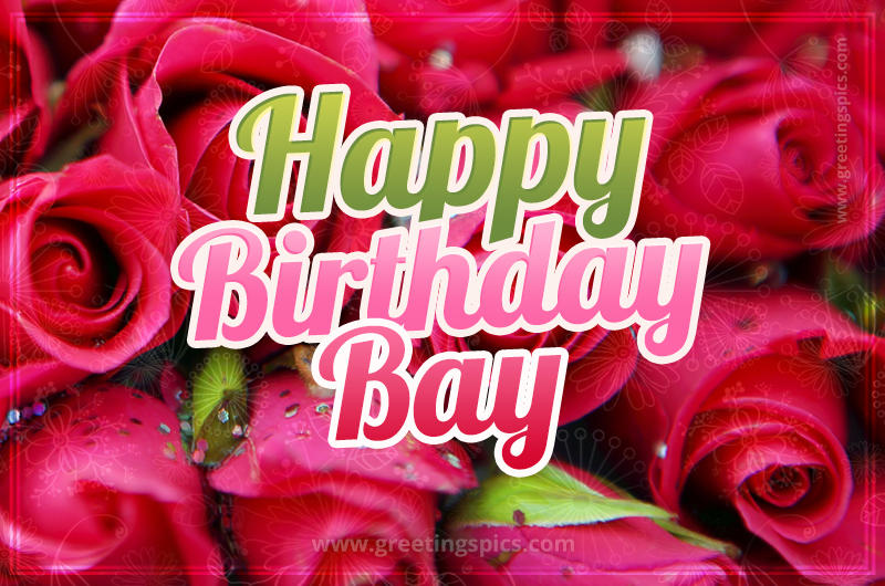 Happy Birthday Bay beautiful Image with red roses