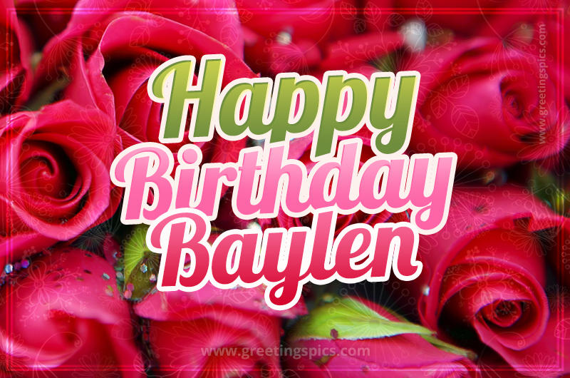 Happy Birthday Baylen beautiful Image with red roses