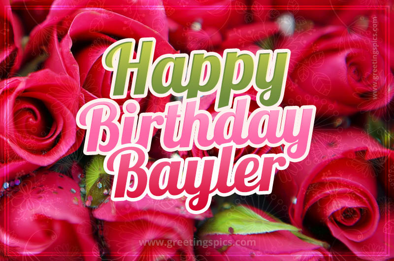 Happy Birthday Bayler beautiful Image with red roses