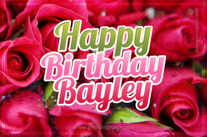 Happy Birthday Bayley beautiful Image with red roses