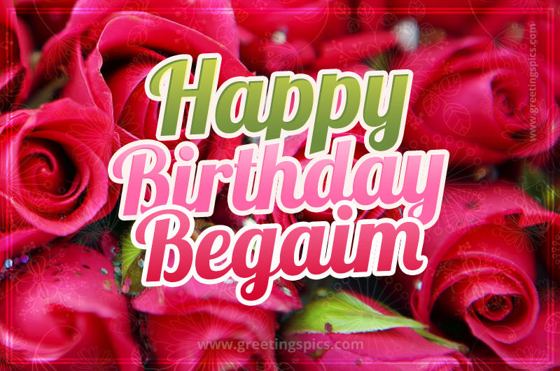 Happy Birthday Begaim beautiful Image with red roses