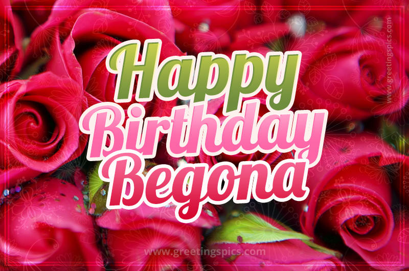 Happy Birthday Begona beautiful Image with red roses