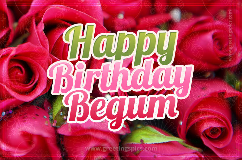 Happy Birthday Begum beautiful Image with red roses