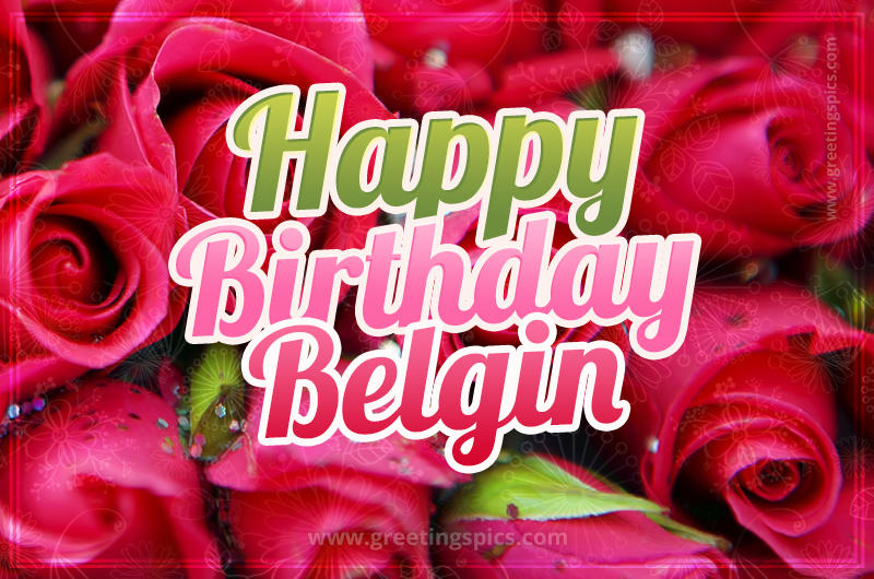 Happy Birthday Belgin beautiful Image with red roses