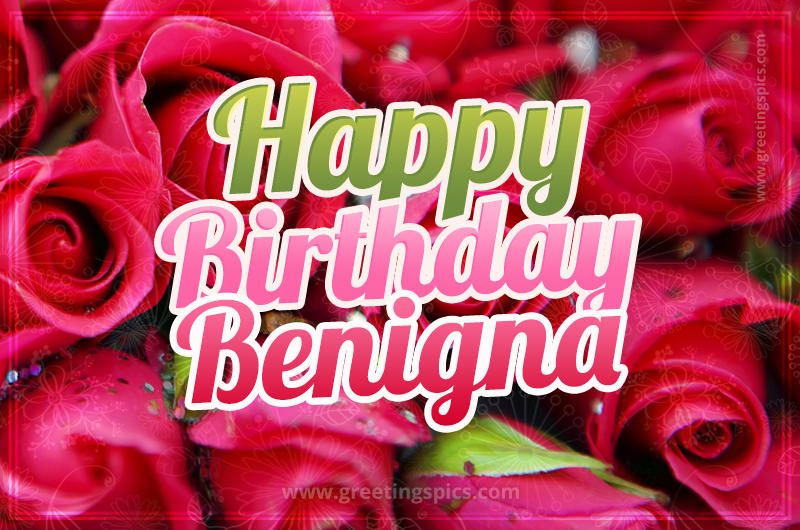 Happy Birthday Benigna beautiful Image with red roses