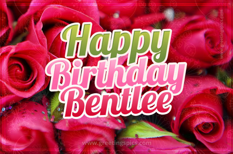 Happy Birthday Bentlee beautiful Image with red roses