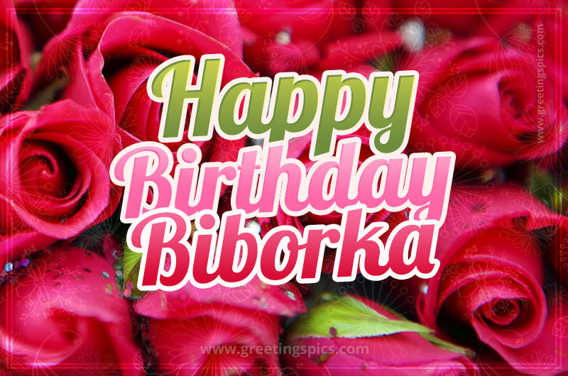 Happy Birthday Biborka beautiful Image with red roses