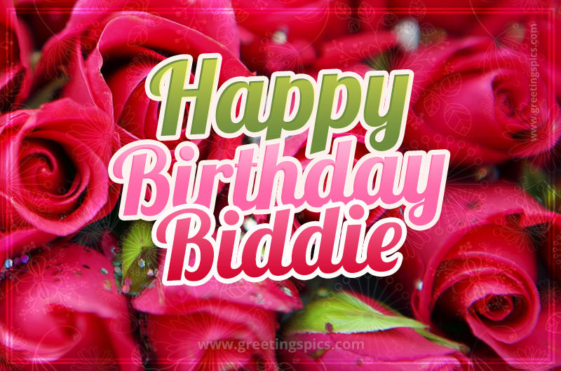 Happy Birthday Biddie beautiful Image with red roses