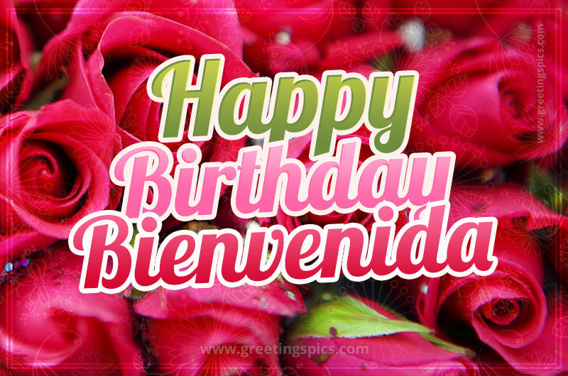 Happy Birthday Bienvenida beautiful Image with red roses