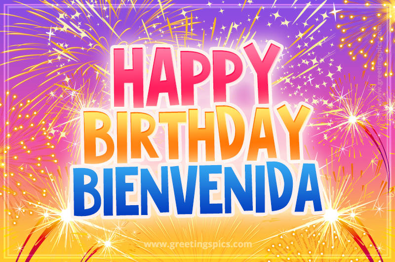 Happy Birthday Bienvenida Picture with fireworks