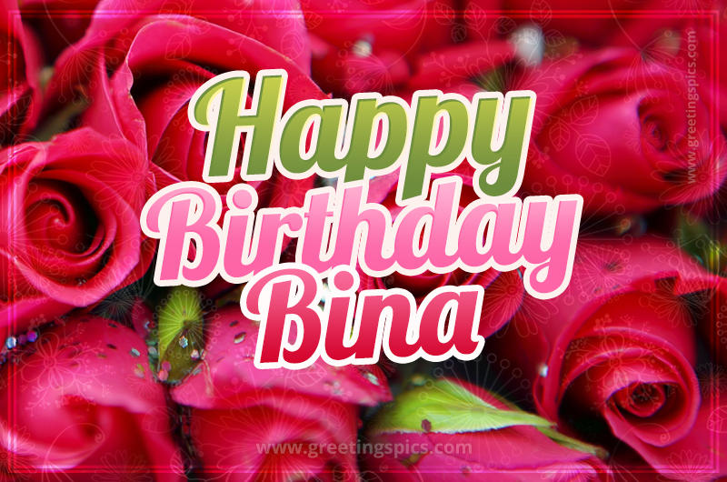 Happy Birthday Bina beautiful Image with red roses