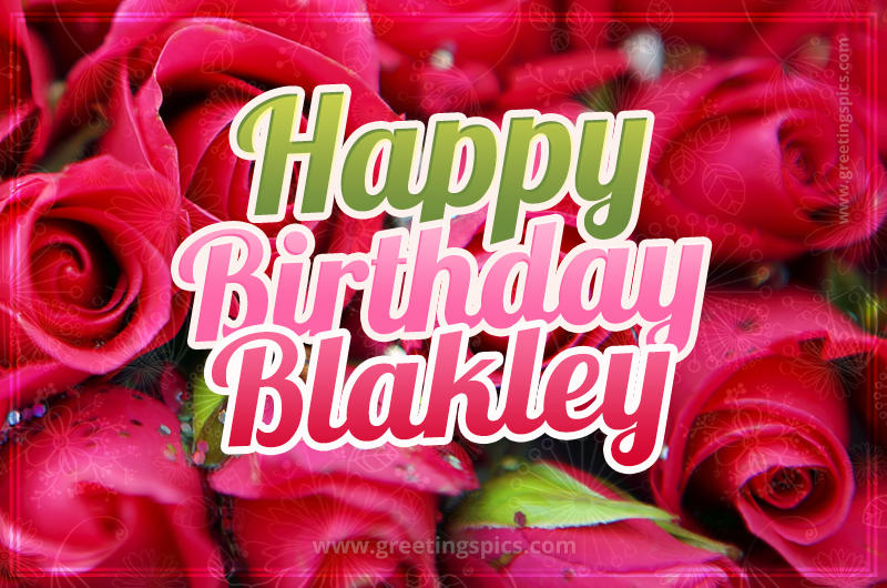 Happy Birthday Blakley beautiful Image with red roses