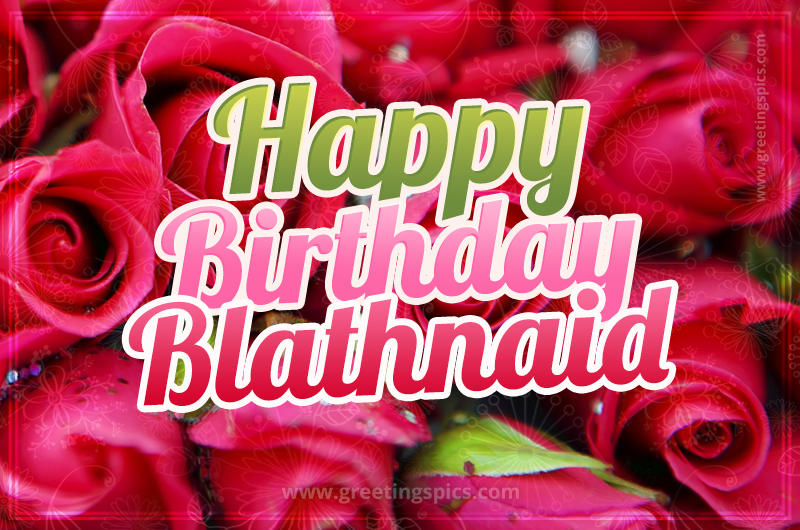 Happy Birthday Blathnaid beautiful Image with red roses