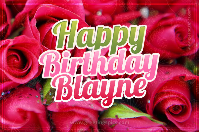 Happy Birthday Blayne beautiful Image with red roses