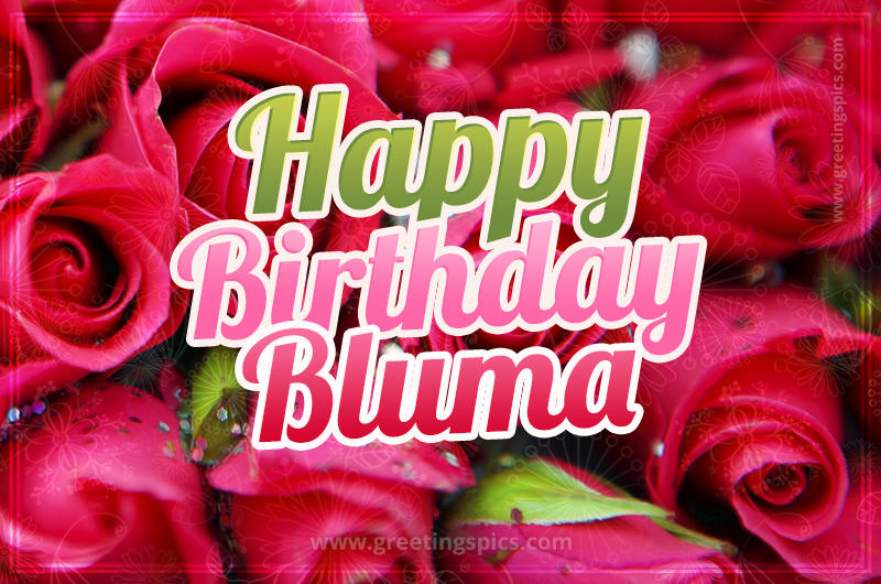 Happy Birthday Bluma beautiful Image with red roses