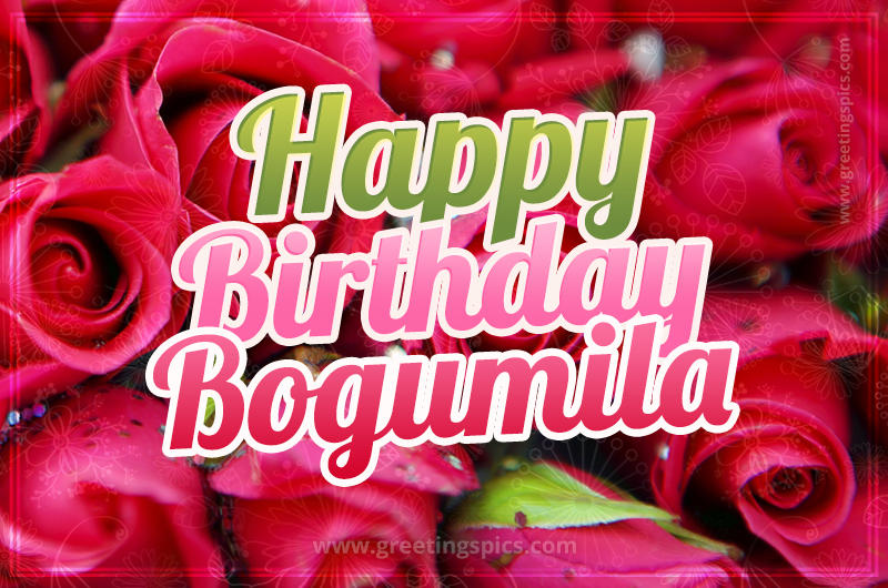 Happy Birthday Bogumila beautiful Image with red roses