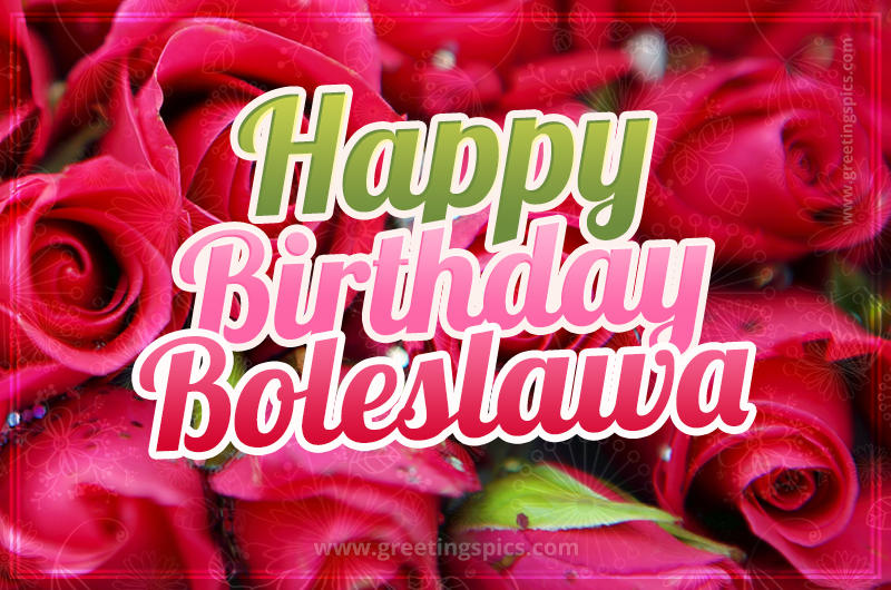 Happy Birthday Boleslawa beautiful Image with red roses