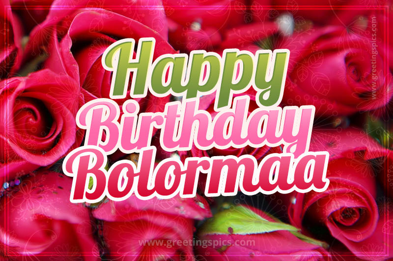 Happy Birthday Bolormaa beautiful Image with red roses