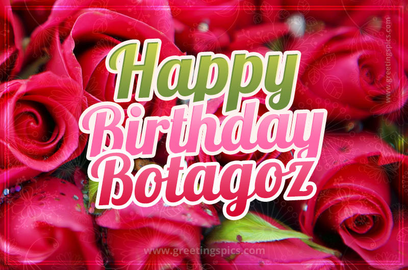 Happy Birthday Botagoz beautiful Image with red roses