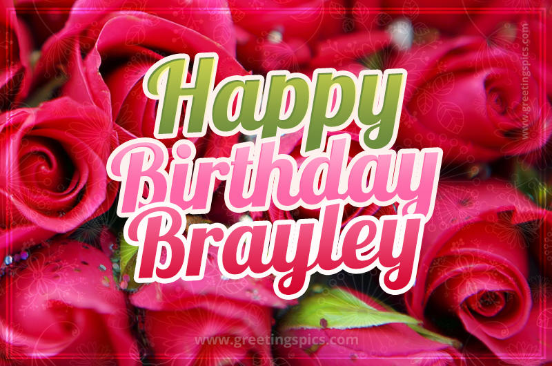 Happy Birthday Brayley beautiful Image with red roses