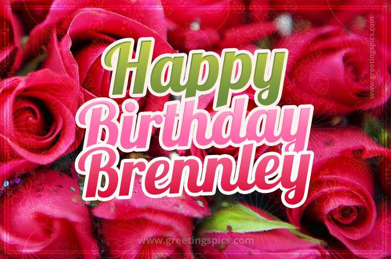 Happy Birthday Brennley beautiful Image with red roses