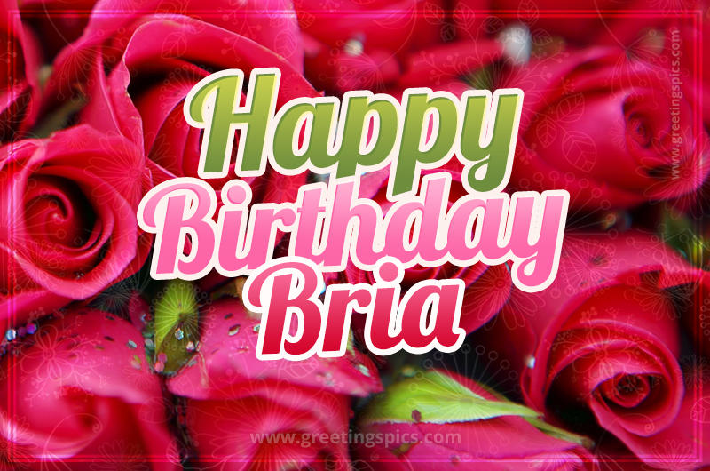 Happy Birthday Bria beautiful Image with red roses