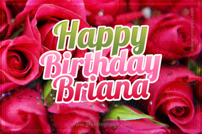 Happy Birthday Briana beautiful Image with red roses