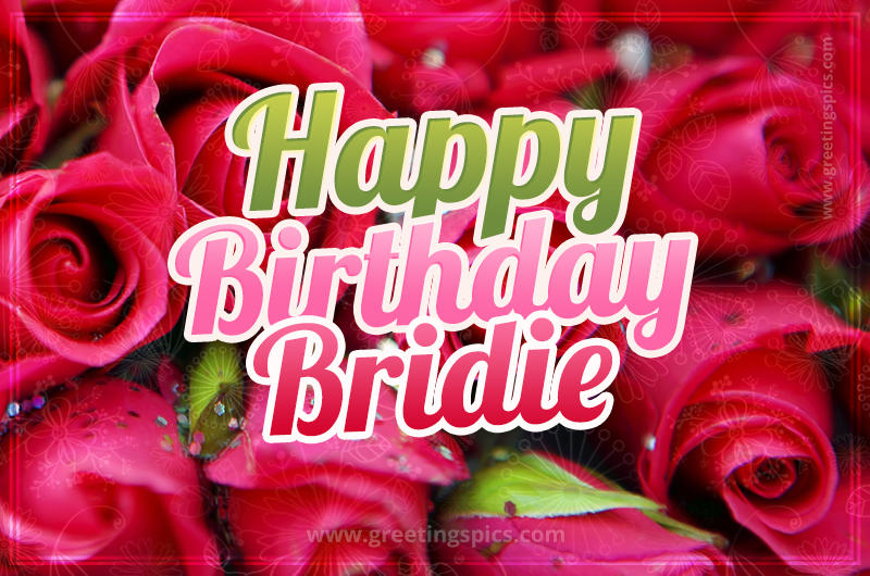 Happy Birthday Bridie beautiful Image with red roses