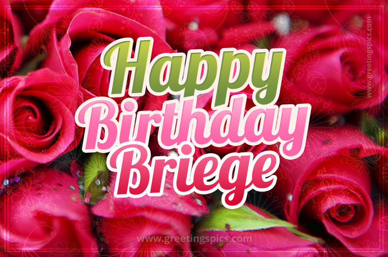 Happy Birthday Briege beautiful Image with red roses