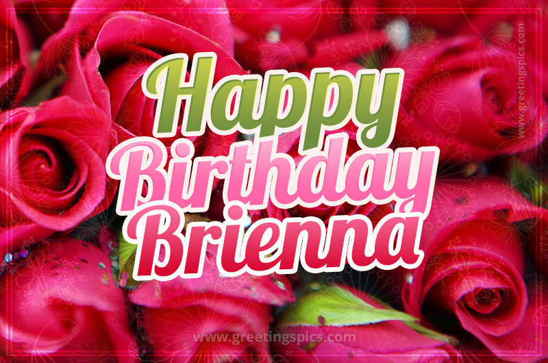 Happy Birthday Brienna beautiful Image with red roses