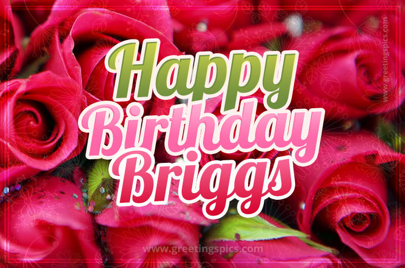 Happy Birthday Briggs beautiful Image with red roses