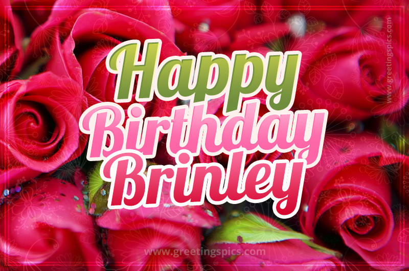 Happy Birthday Brinley beautiful Image with red roses