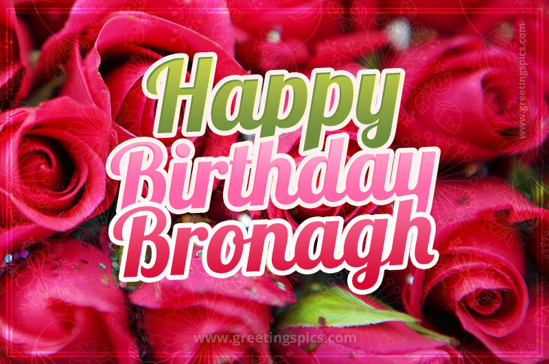 Happy Birthday Bronagh beautiful Image with red roses