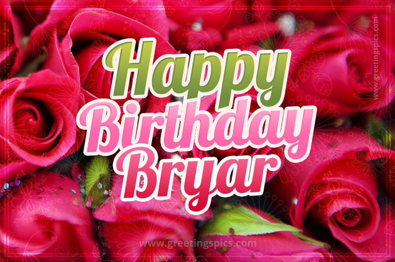 Happy Birthday Bryar beautiful Image with red roses