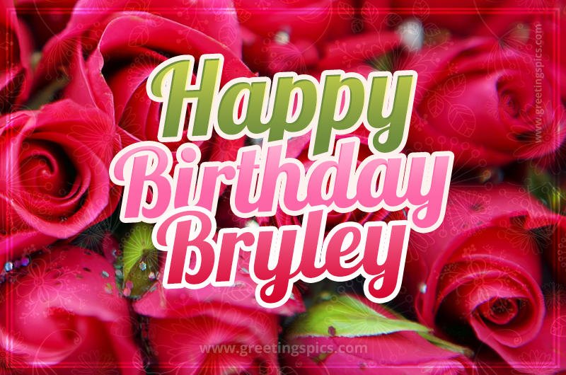 Happy Birthday Bryley beautiful Image with red roses