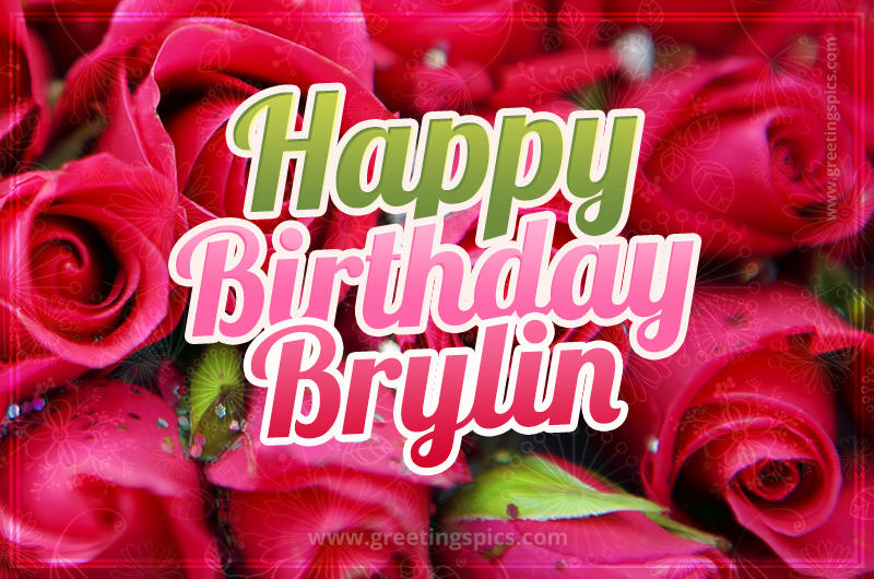 Happy Birthday Brylin beautiful Image with red roses