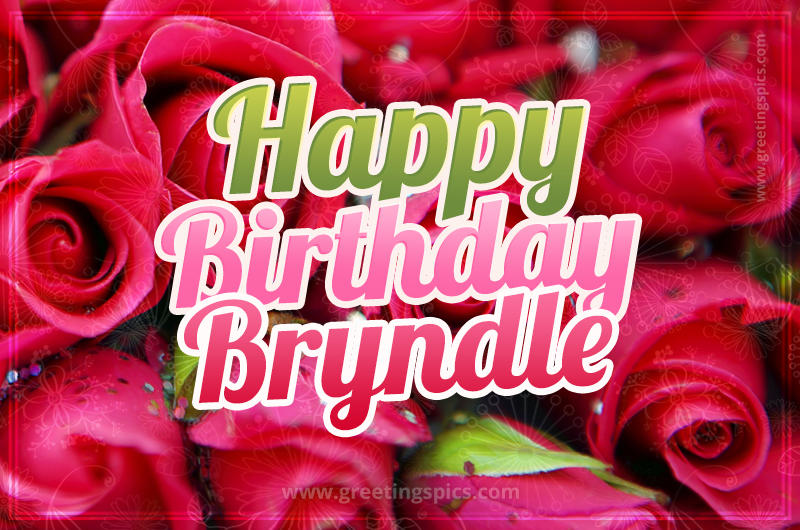 Happy Birthday Bryndle beautiful Image with red roses