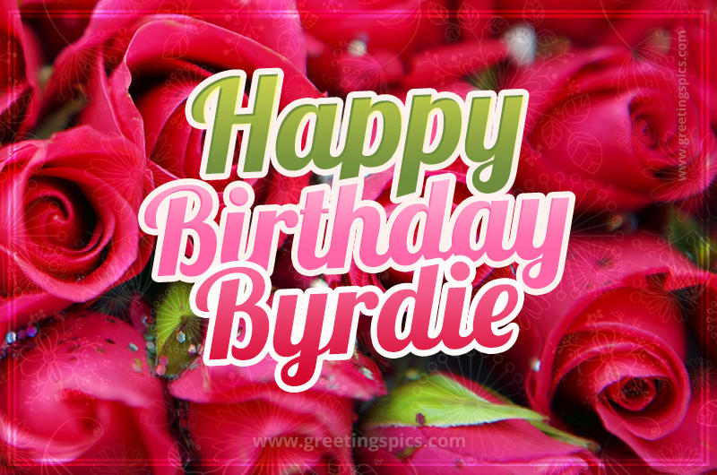 Happy Birthday Byrdie beautiful Image with red roses