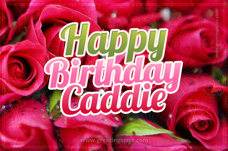 Happy Birthday Caddie beautiful Image with red roses