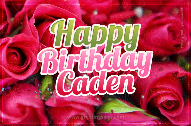 Happy Birthday Caden beautiful Image with red roses