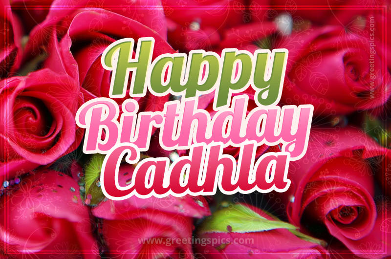 Happy Birthday Cadhla beautiful Image with red roses