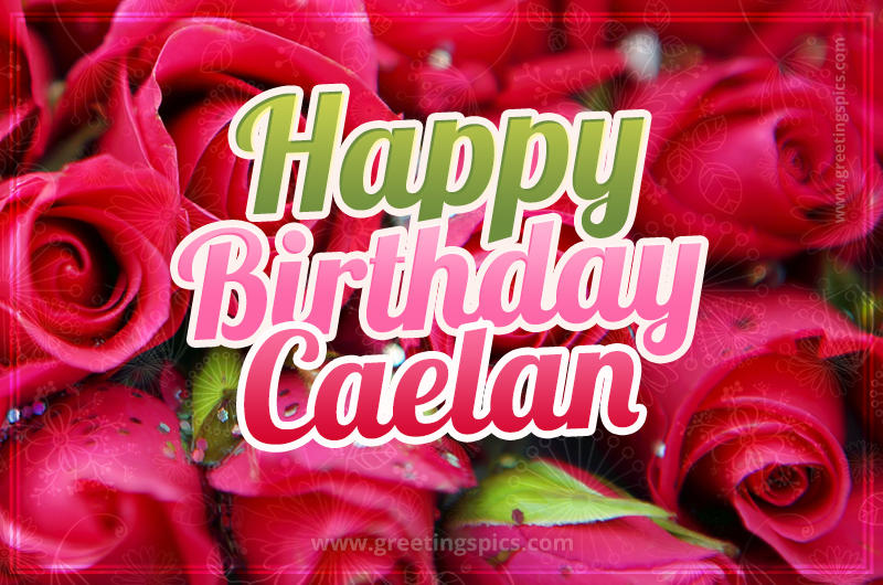 Happy Birthday Caelan beautiful Image with red roses