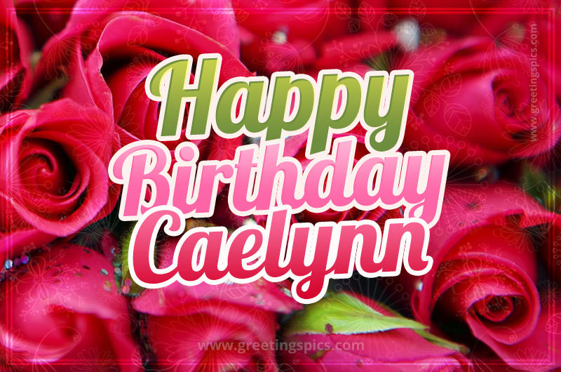 Happy Birthday Caelynn beautiful Image with red roses